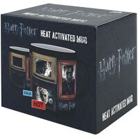 Harry Potter Portraits Heat Change Ceramic Mug