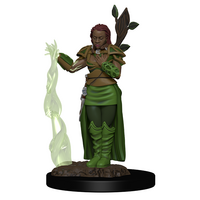 Human Druid Female Icons
