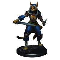 Tabaxi Rogue Icons