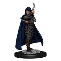 Human Female Rogue Premium
