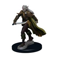 Elf Male FIghter Premium