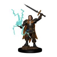 Human Male Cleric Premium