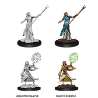 Elf Sorcerer Female Nolzur