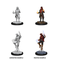 Tiefling Sorcerer Male Nolzur