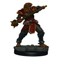Dragonborn Fighter Icons