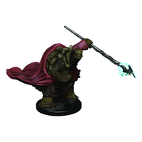 Tortle Monk Icons