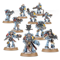 Space Wolves Grey Hunters