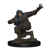 Human Male Rogue Premium