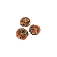 Shrine Bases, Round 50mm (2)