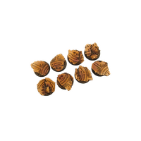 Temple Bases Round 32mm (4)