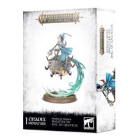 Disciples of Tzeentch Magister on Disc