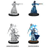 Elf Wizard Female Nolzur