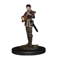 Half-Elf Female Bard - Icons of the Realms