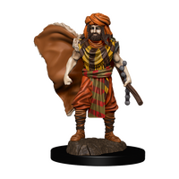 Human Male Druid - Icons of the Realms