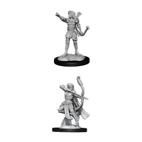 Elf Female Ranger (Nolzur)