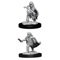 Halfling Male Rogue (Nolzur)