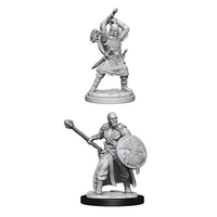 Human Male Barbarian (Nolzur)