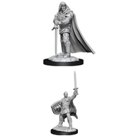 Human Male Paladin (Nolzur)