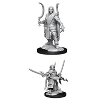 Human Male Ranger (Nolzur)