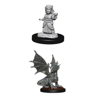 Silver Dragon Wyrmling & Halfling Dragon Friend