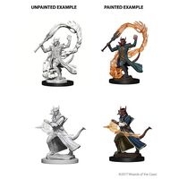 Tiefling Male Sorceror (Nolzur)