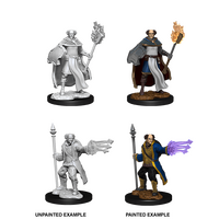 Multiclass Male Cleric-Wizard (Nolzur)