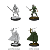 Elf Male Fighter (Pathfinder)
