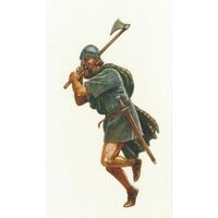 Norse Gael Warband (4 Points)