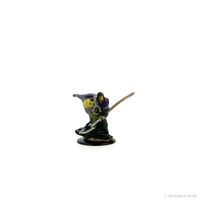 Elf Male Druid - Icons of the Realms Premium Figure