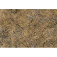 Rock Desert 4x6 Gaming Mat