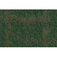 Forest Battle Mat