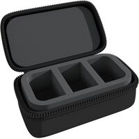 Feldherr Minimum Case - 3 Compartments