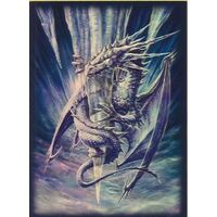 Four pocket Arctic Dragon portfolio