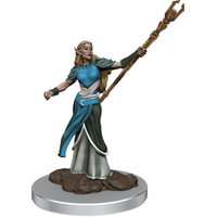 Elf Female Sorcerer Icons