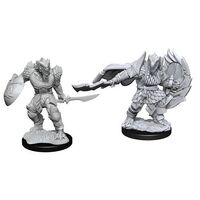 Dragonborn Fighter Male Nolzur