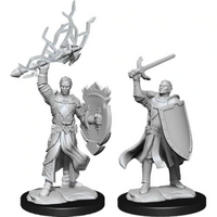 Half-Elf Paladin Male Nolzur