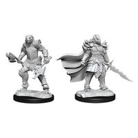 Dragonborn Fighter Female Nolzur