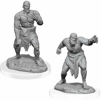 Flesh Golems Nolzur