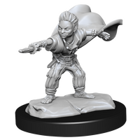 Halfling Male Wizard (Pathfinder)