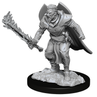 Human Champion Male (Pathfinder)