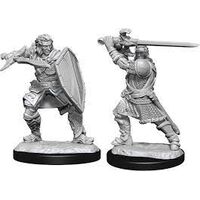 Human Paladin Male Nolzur