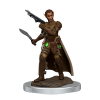 Shifter Female Rogue (Icons of the Realms)