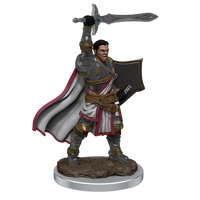 Human Male Paladin - Premium (Icons of the Realms)