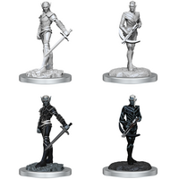 DROW FIGHTERS - NOLZUR