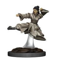 Human Female Monk - Premium (Icons of the Realms)