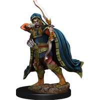 Elf Male Rogue - Premium (Icons of the Realms)