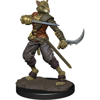 Tabaxi Male Rogue - Premium - (Icons of the Realms)
