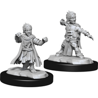 Halfling Male Monk (Pathfinder)
