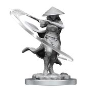Kaito Shizuki and The Wanderer (Magic: The Gathering)