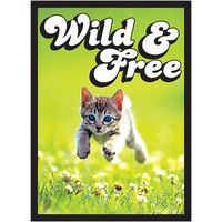 Legion YGO Sleeves Gloss Kitten (60)